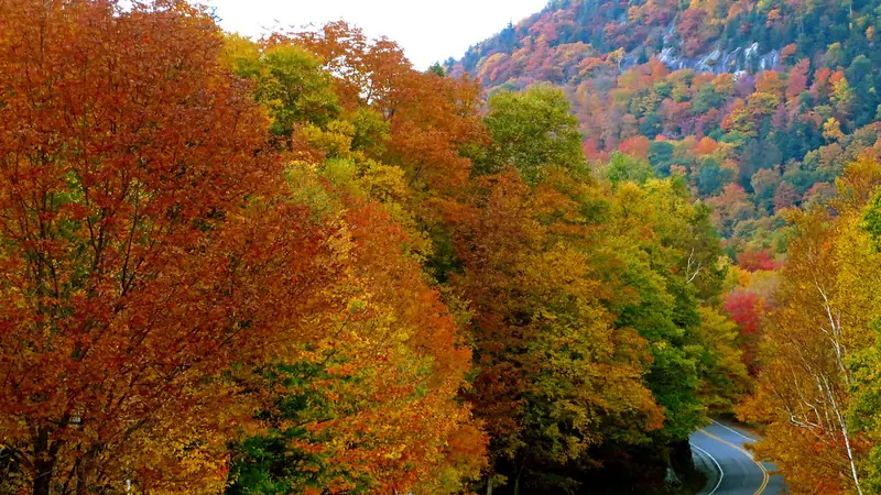 Blue Ridge Parkway Fall Foliage Road Trip Guide
