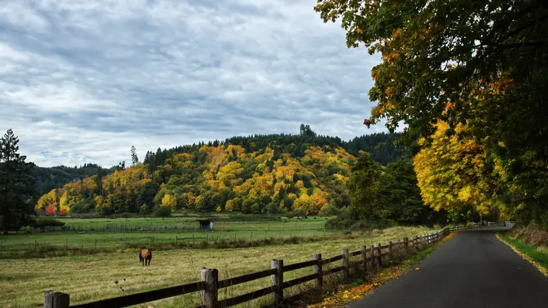 Free Road Trip Activities That Cost Nothing